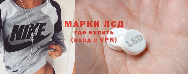прущие грибы Осинники