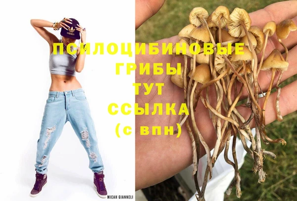 прущая мука Наволоки