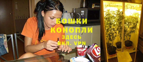 spice Покровск