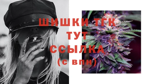 мет Пестово