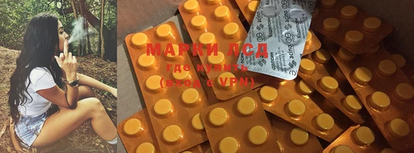 мяу мяу мука Покачи