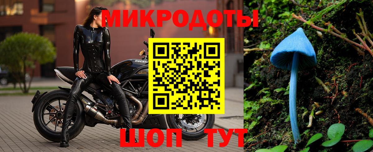 Галлюциногенные грибы Psilocybine cubensis Нарткала