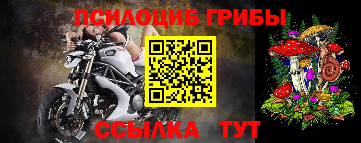Нарткала  Псилоцибиновые грибы ЛСД  как найти наркотики  Вход с VPN 